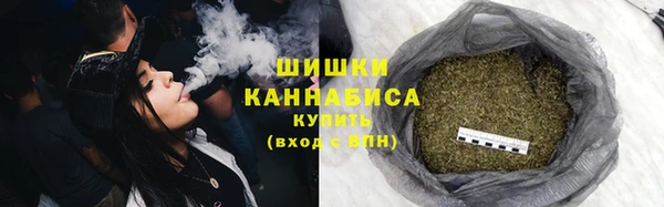 сатива Армянск