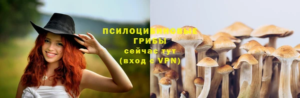 метадон Арсеньев