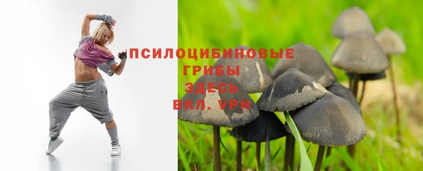 сатива Армянск