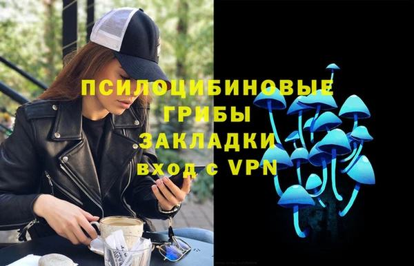 метадон Арсеньев
