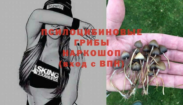сатива Армянск