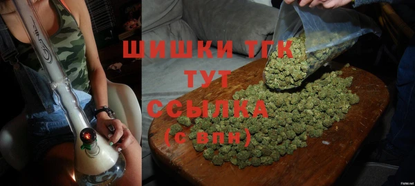 прущие грибы Карпинск